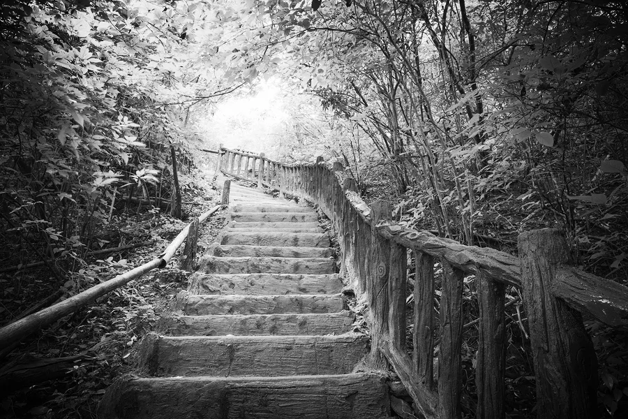 The Path of Peace: Certainty