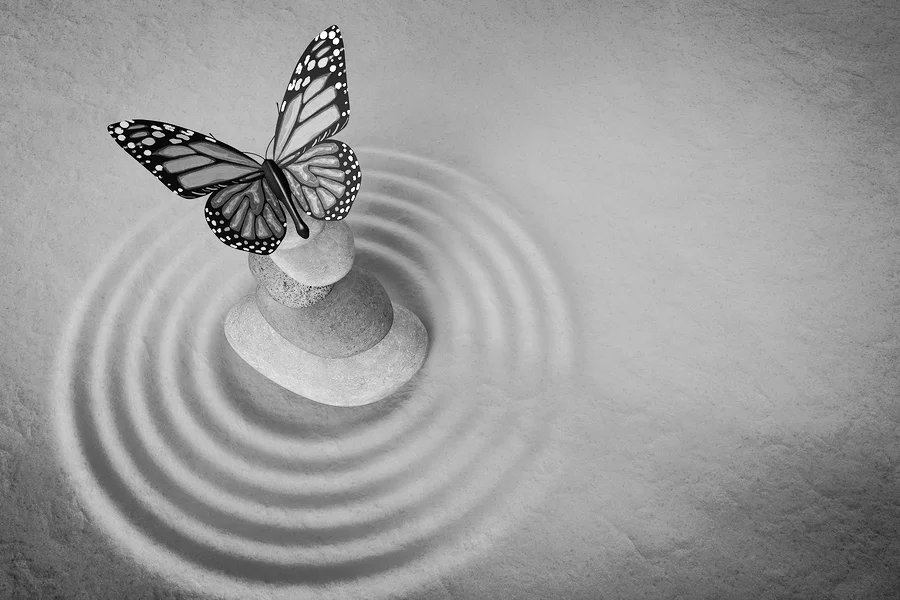 The Transformative Power of Compassion