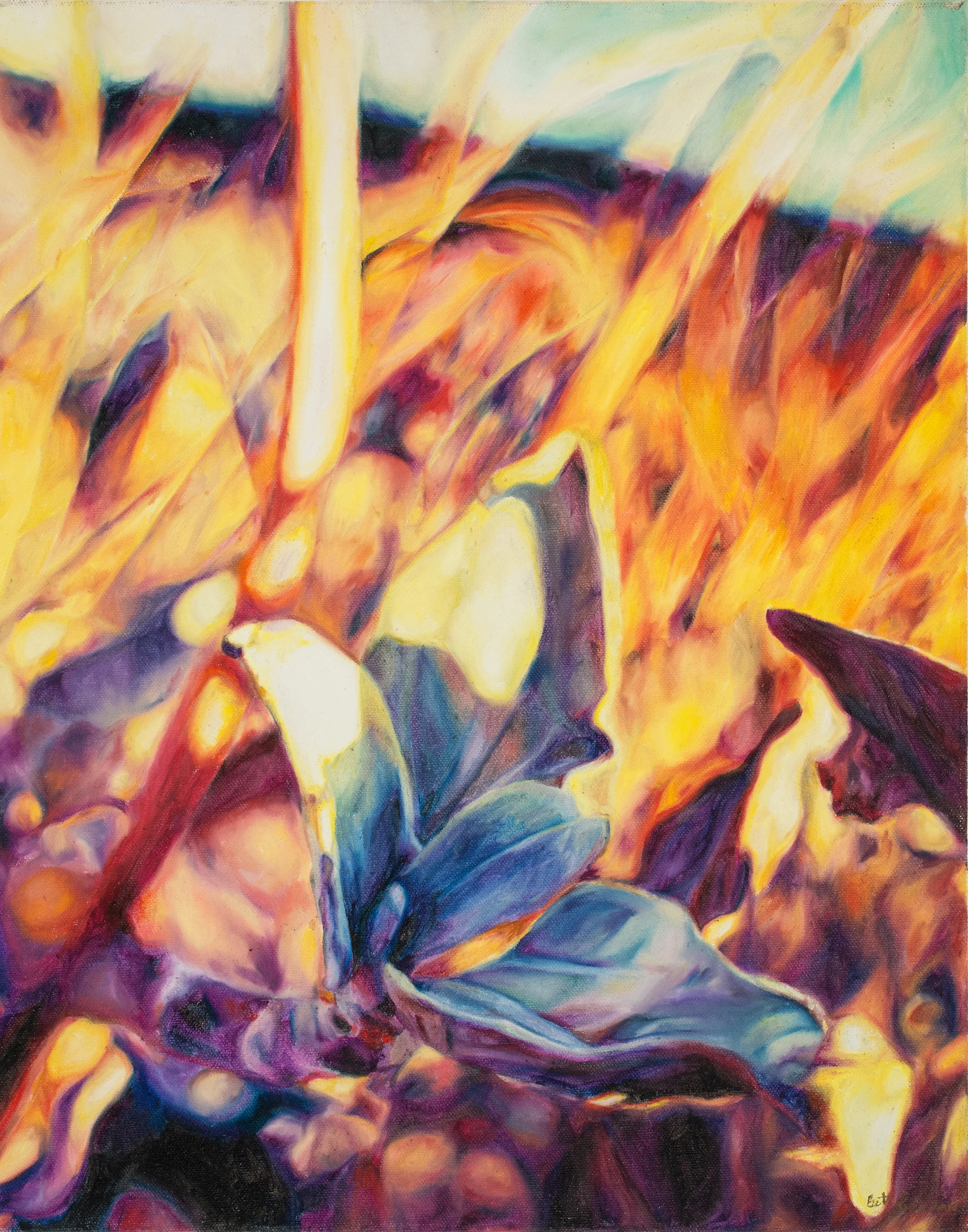 Art on display at Caffe Mingo