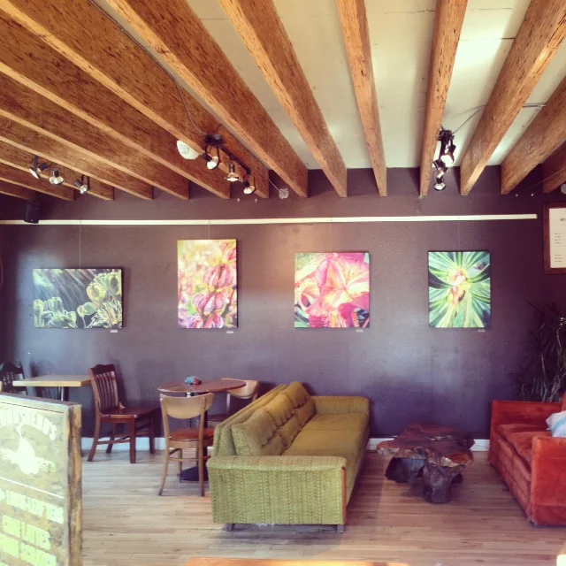 Townshend's Tea on NE Alberta