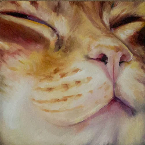 Max the Moose, 8x8, Oil on Wood, SOKD