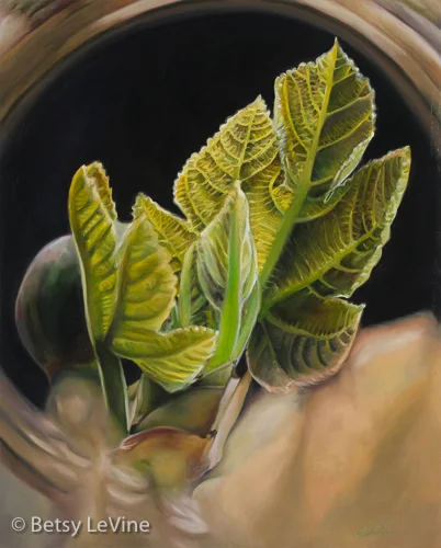 "Tenderness", Oil on Panel, 16x20, SOLD