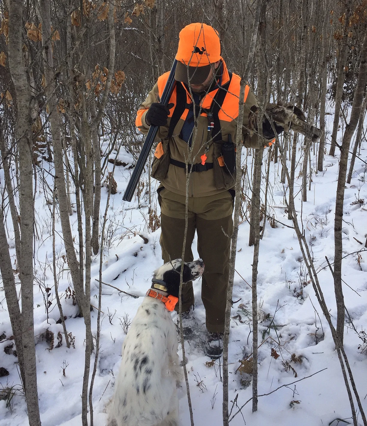 upland softshell jacket