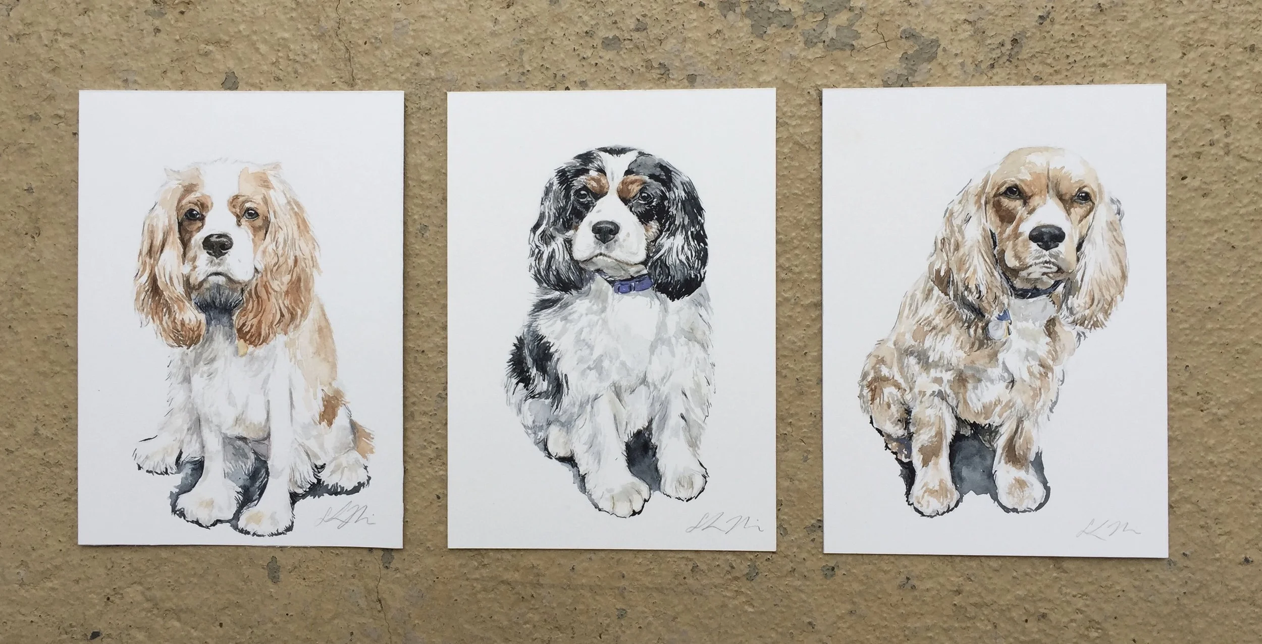 The Pups