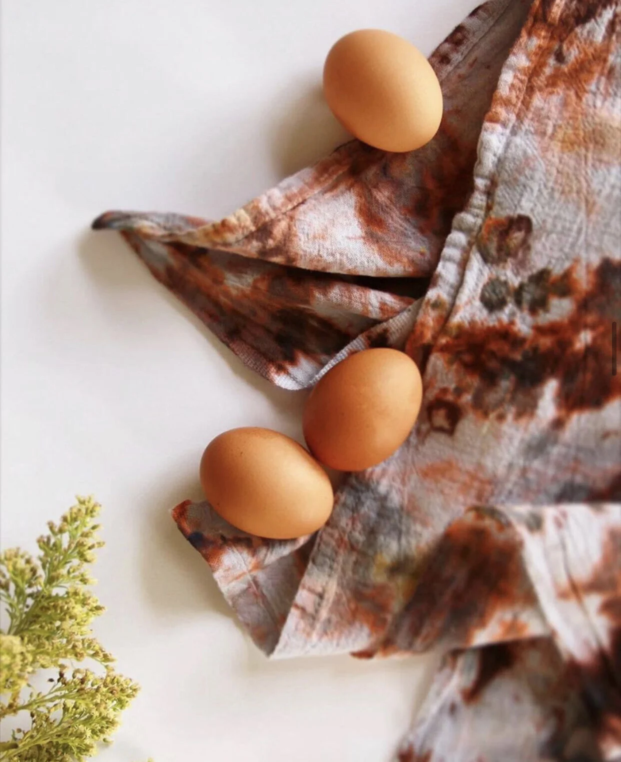 4AB1702D-BC8F-4C92-9709-3D1275BCFDD9