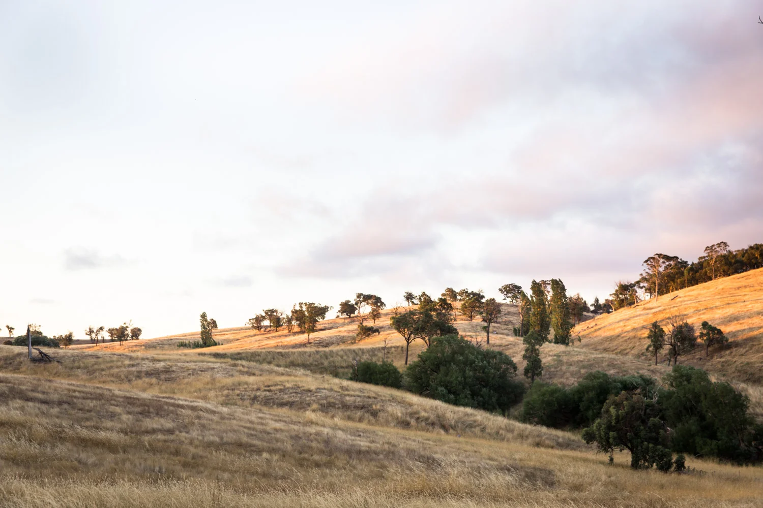 Lean Timms Sams Farm (2 of 3).jpg