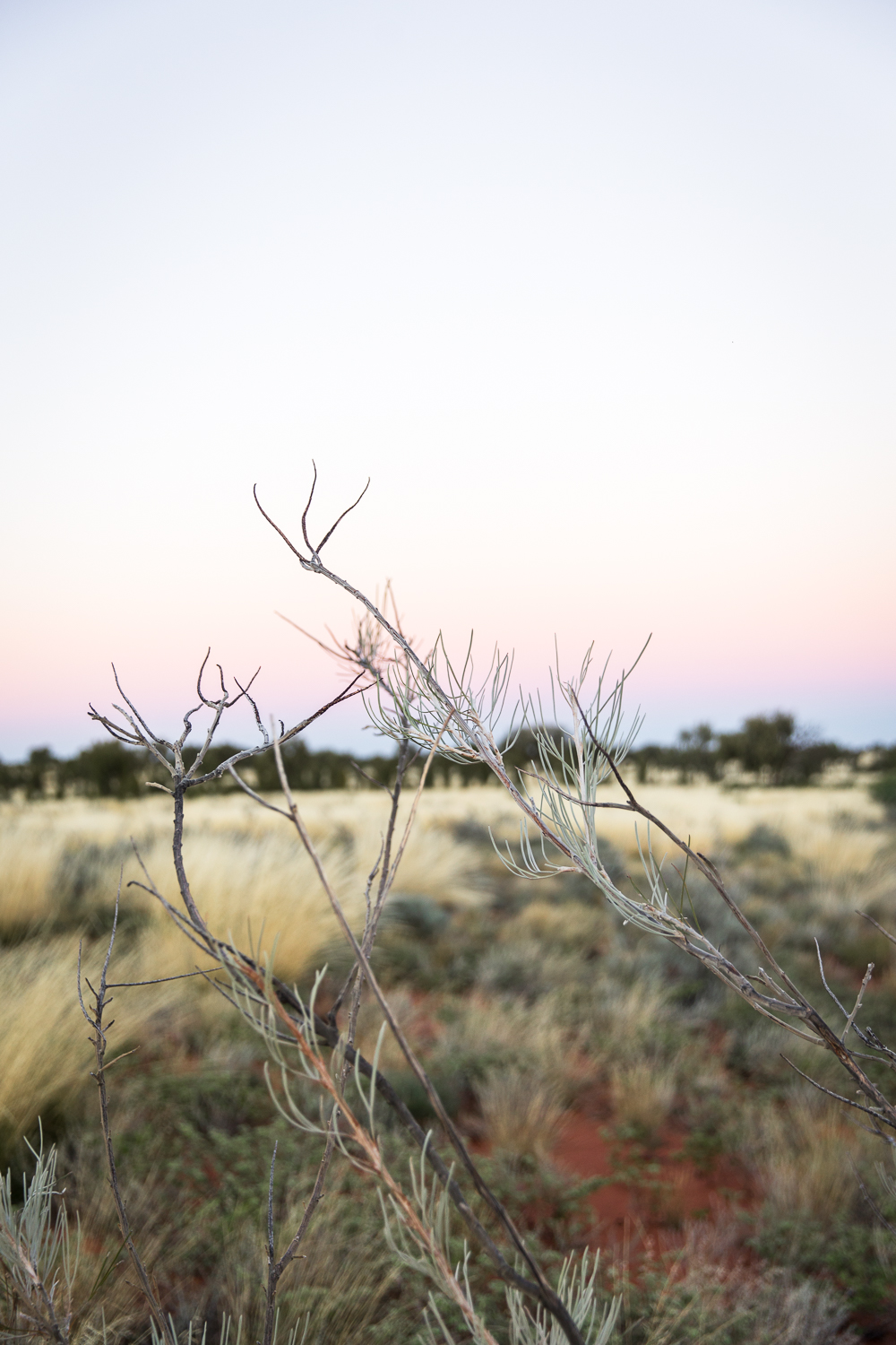 Lean Timms Uluru  (24 of 57).jpg