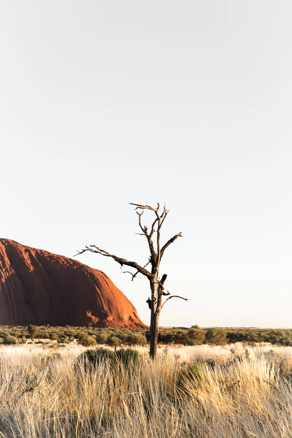 Lean Timms Uluru  (29 of 57).jpg