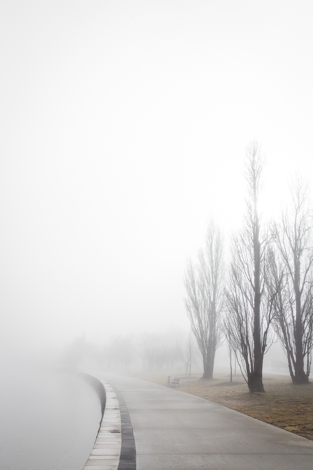 Lean Timms Canberra Fog (8 of 21).jpg