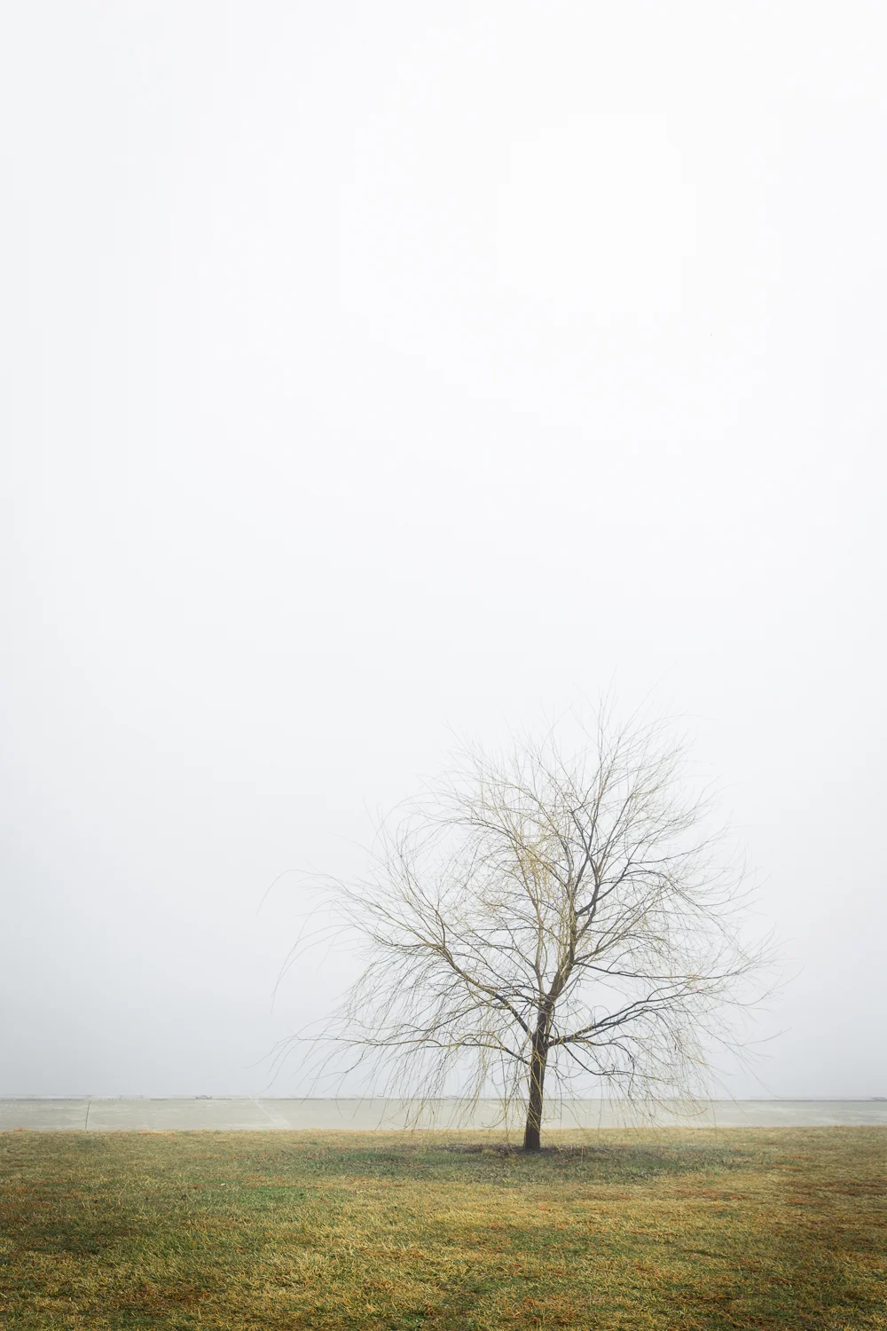 Lean Timms Canberra Fog (9 of 21).jpg