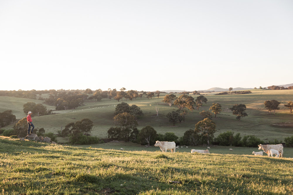 Lean Timms Beef Australia Road Trip (3 of 35).jpg