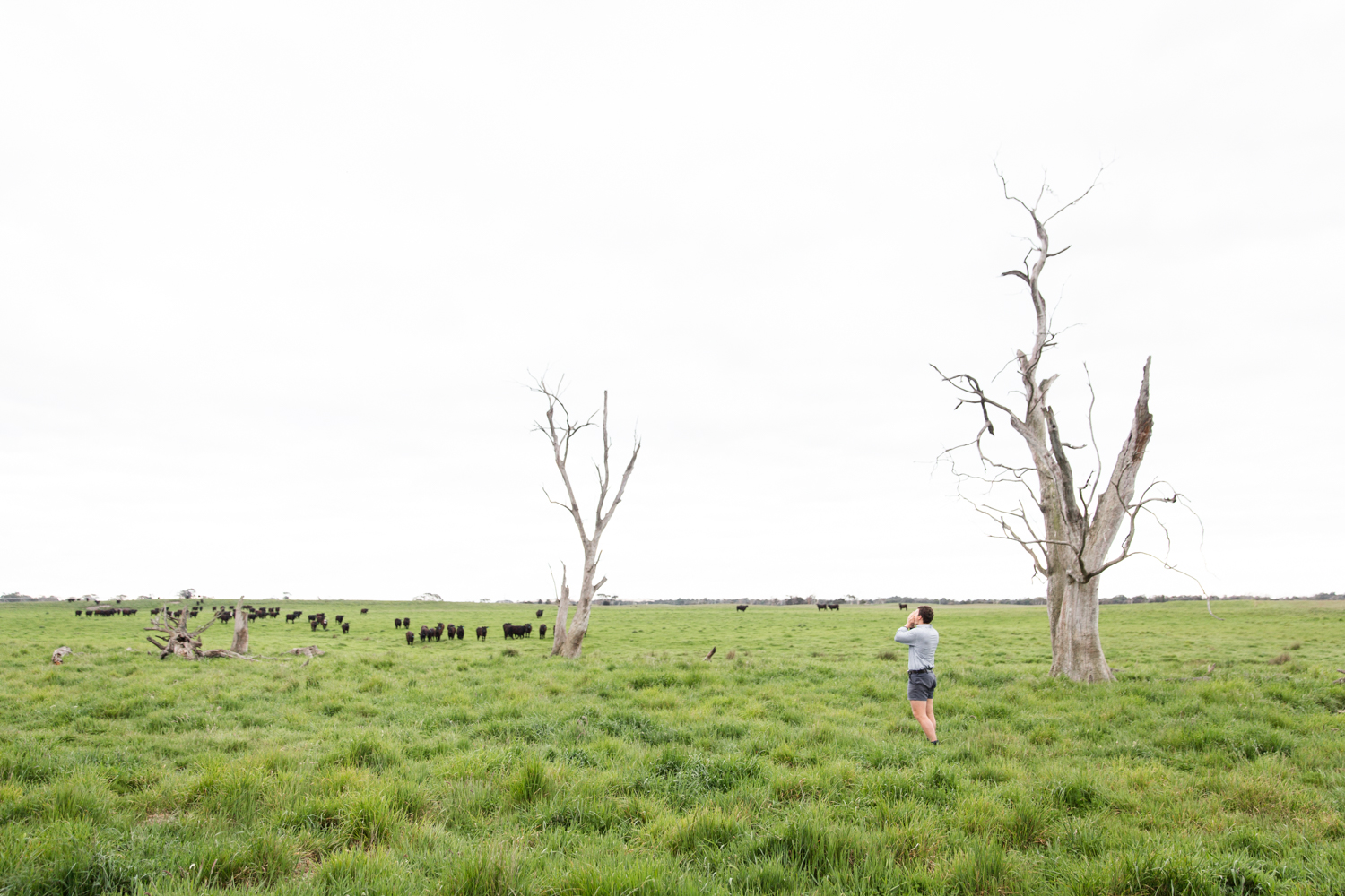 Lean Timms Beef Australia Road Trip (9 of 35).jpg