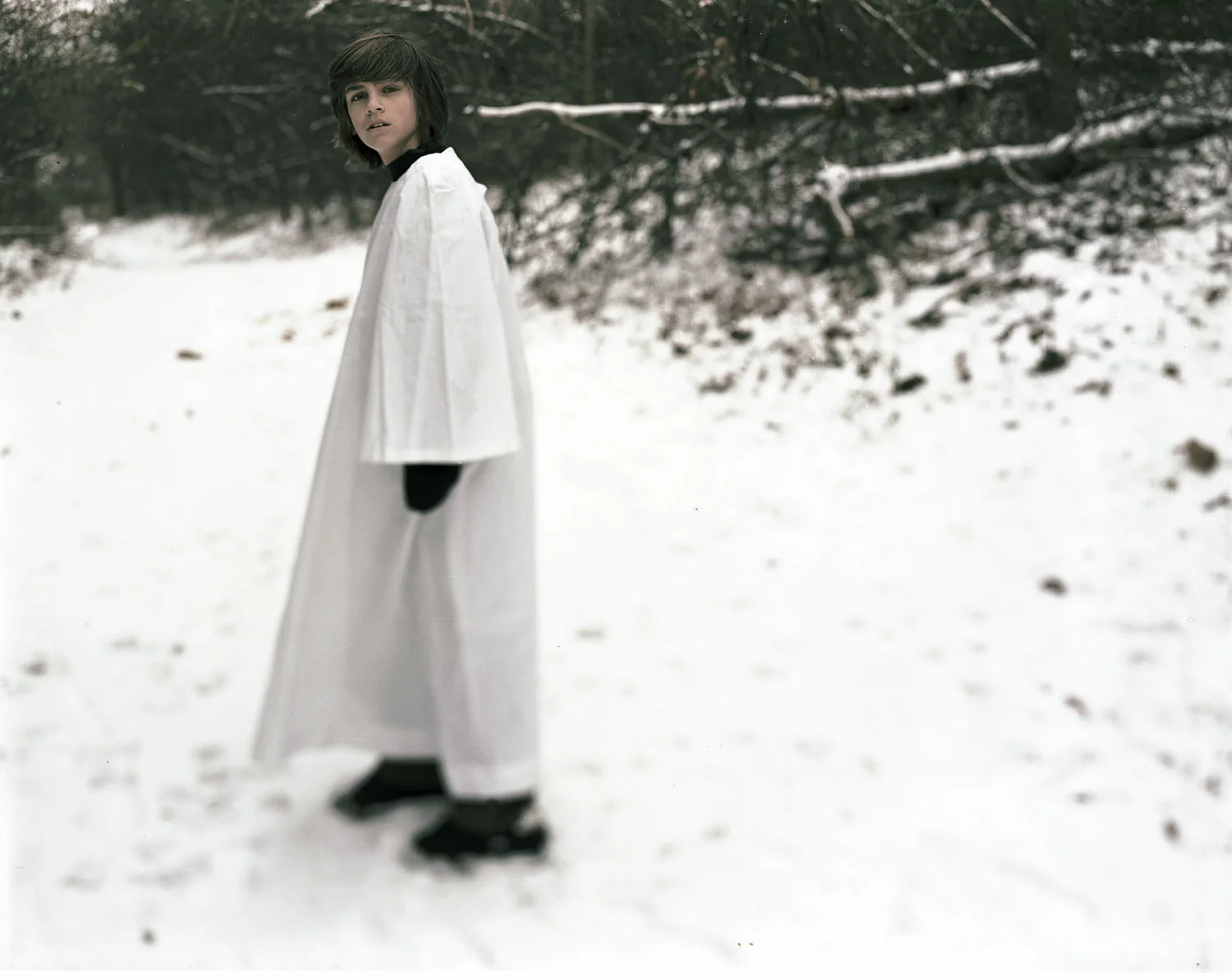 0023_silent night.jpg