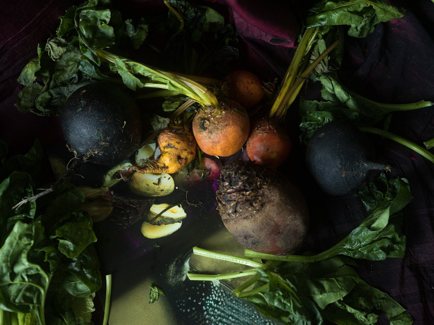 Black Radish, Golden Beets, and A Savoy Cabbage (7302).jpg