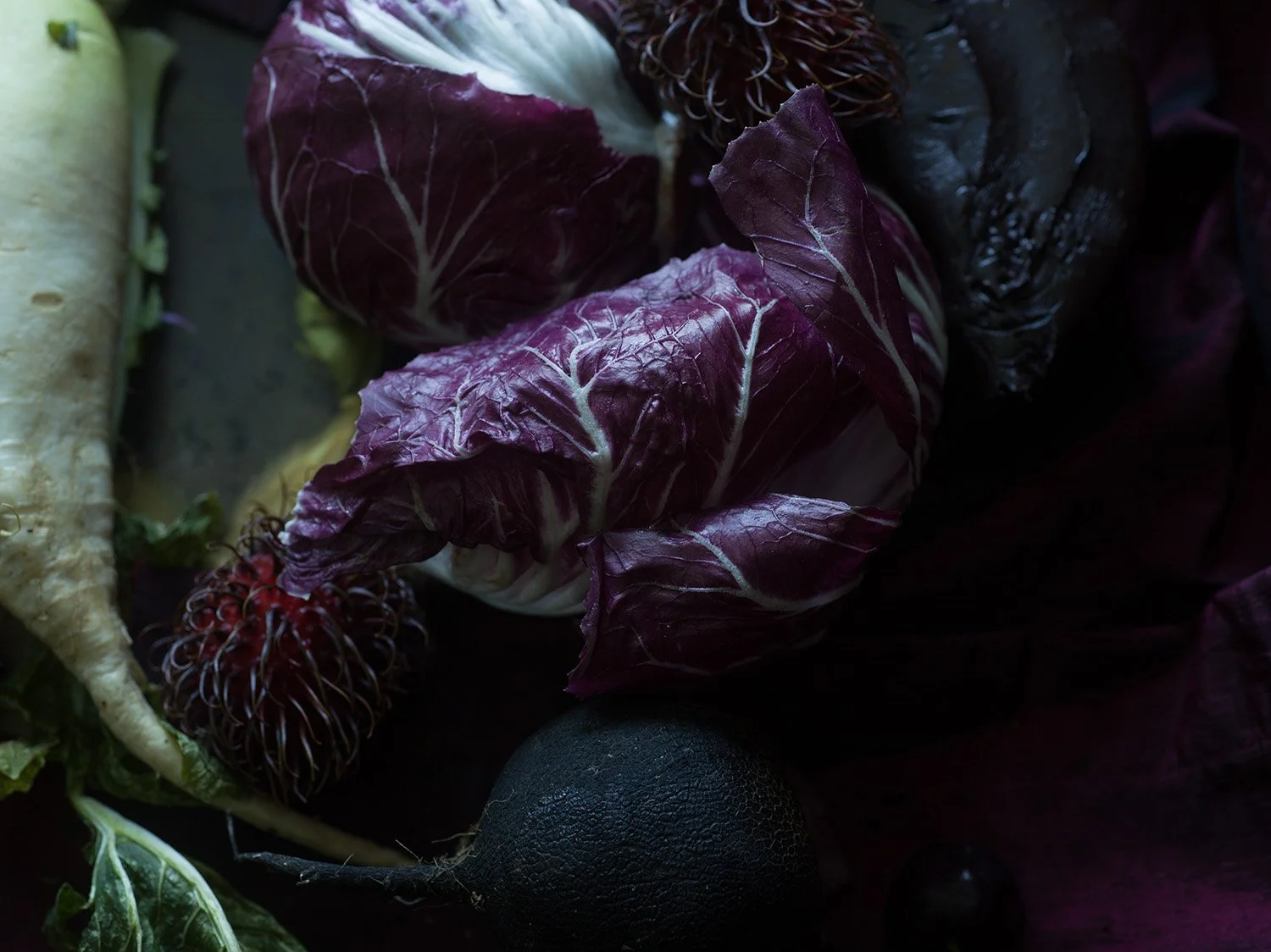 Radicchio and a Korean Radish (7585)