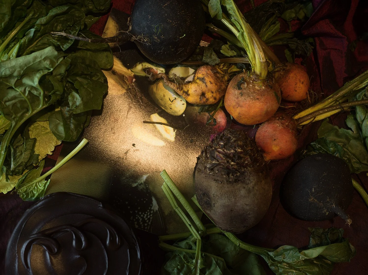 Black Radish, Red Beet, and a Savoy Cabbage (7337)