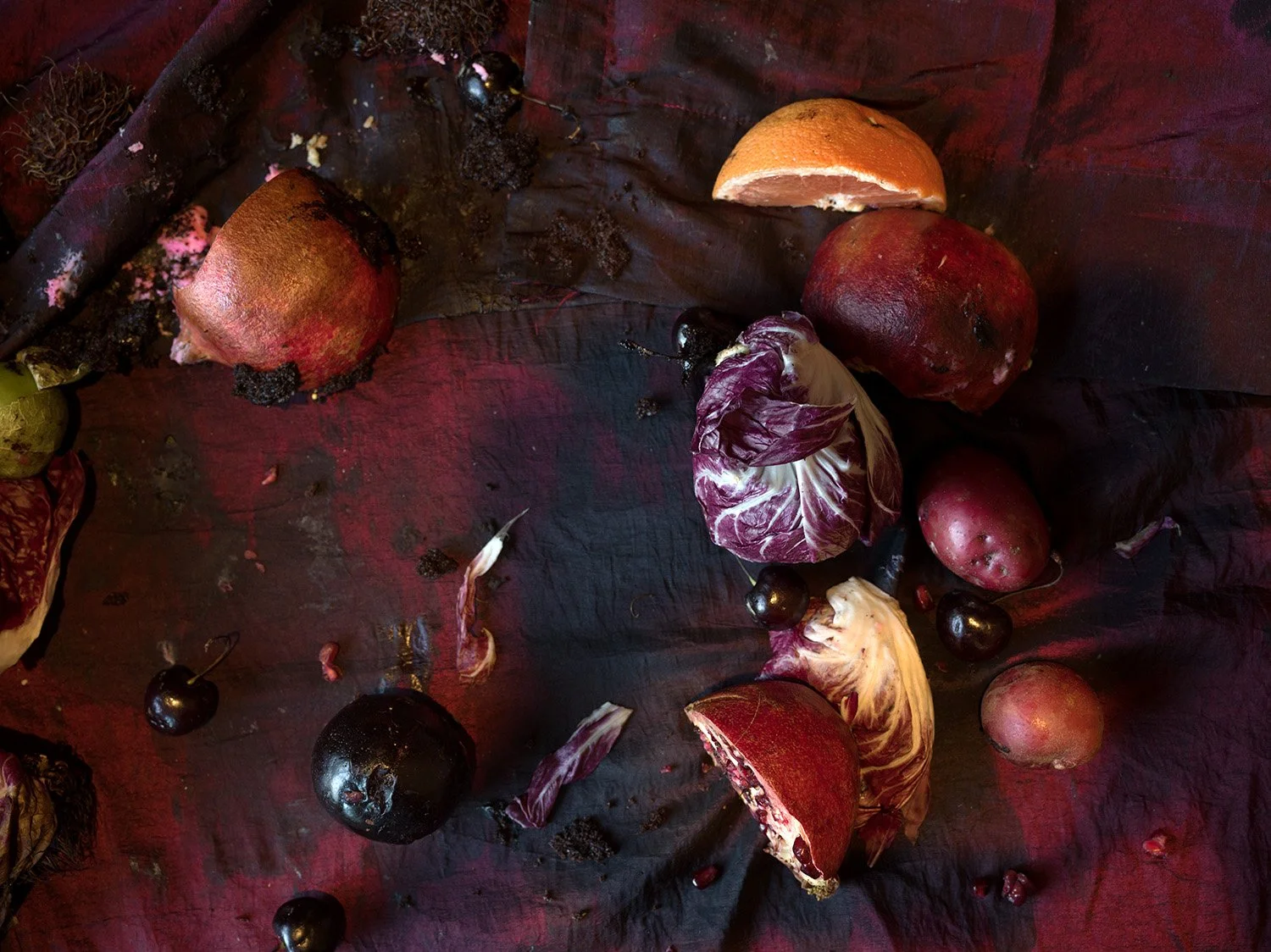 Pomegranate, Radicchio, and a Grapefruit (8091)