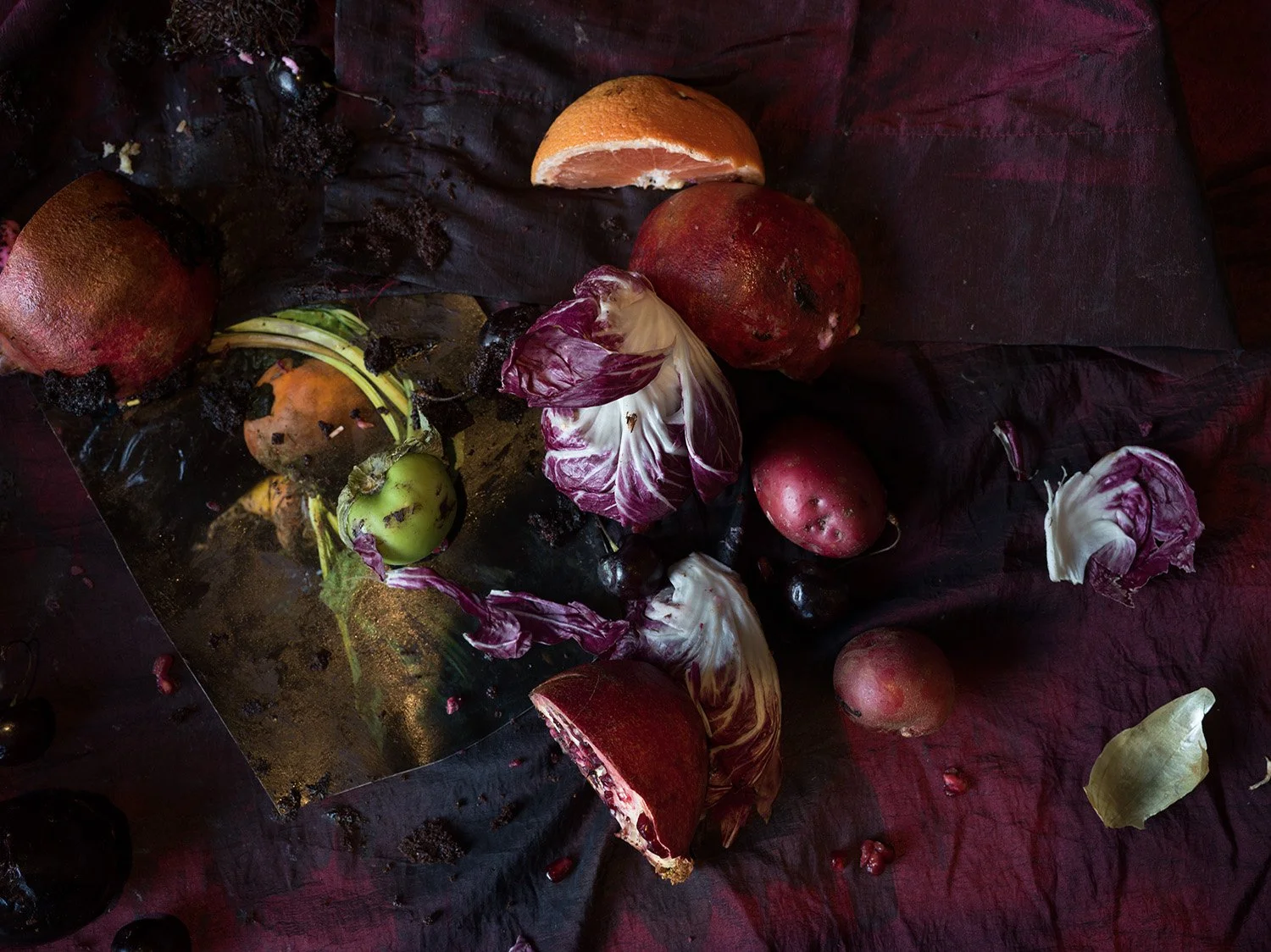 Pomegranate, Radicchio, Grapefruit (8029)