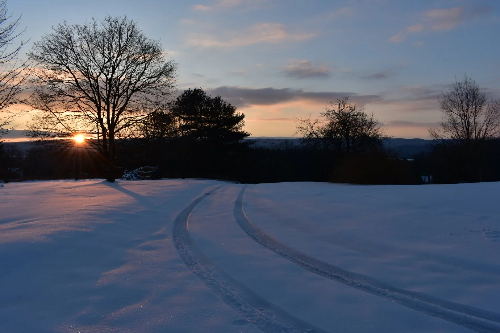 Sample: Free Consultation 