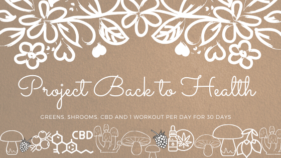 Back to Health Project