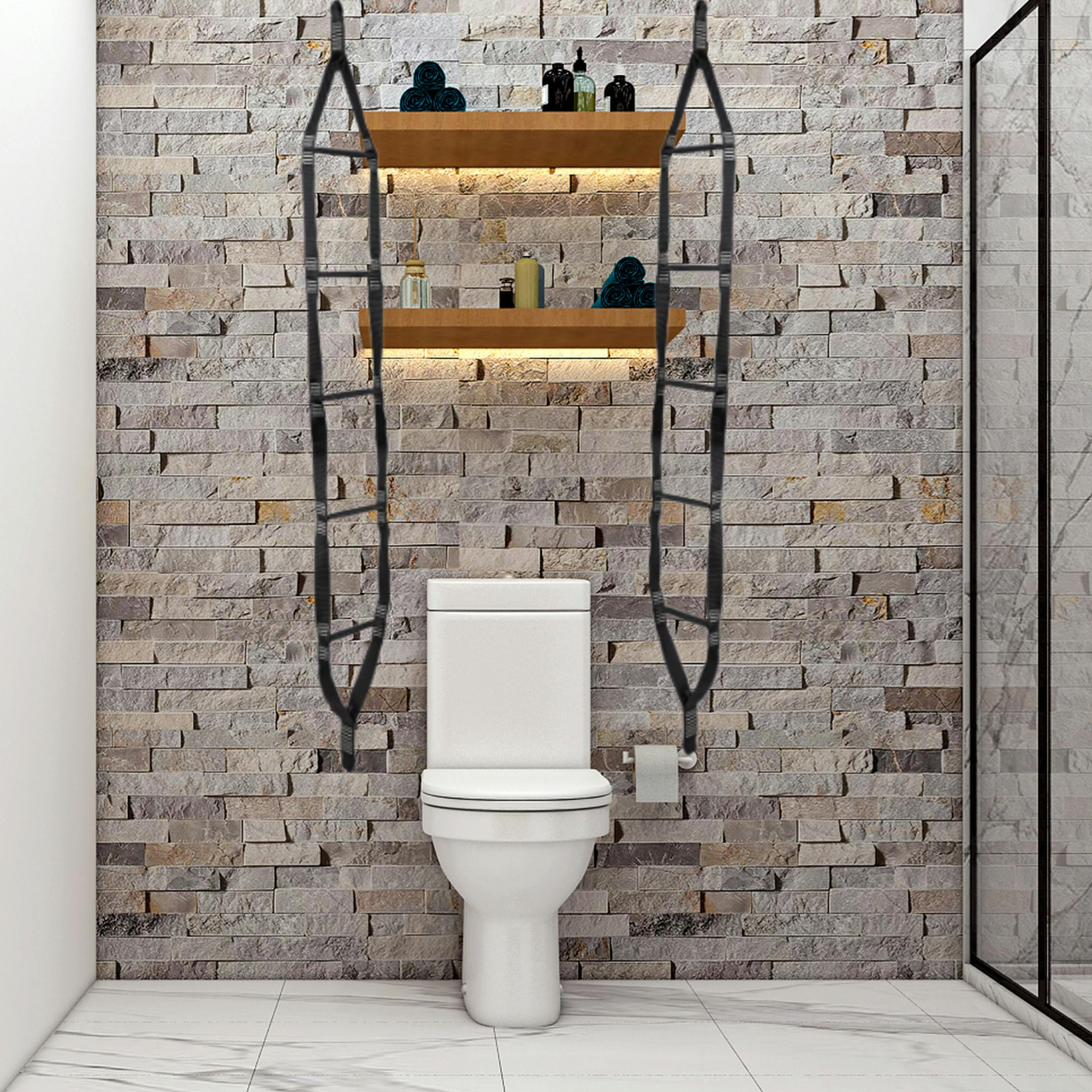 toilet ladder.png