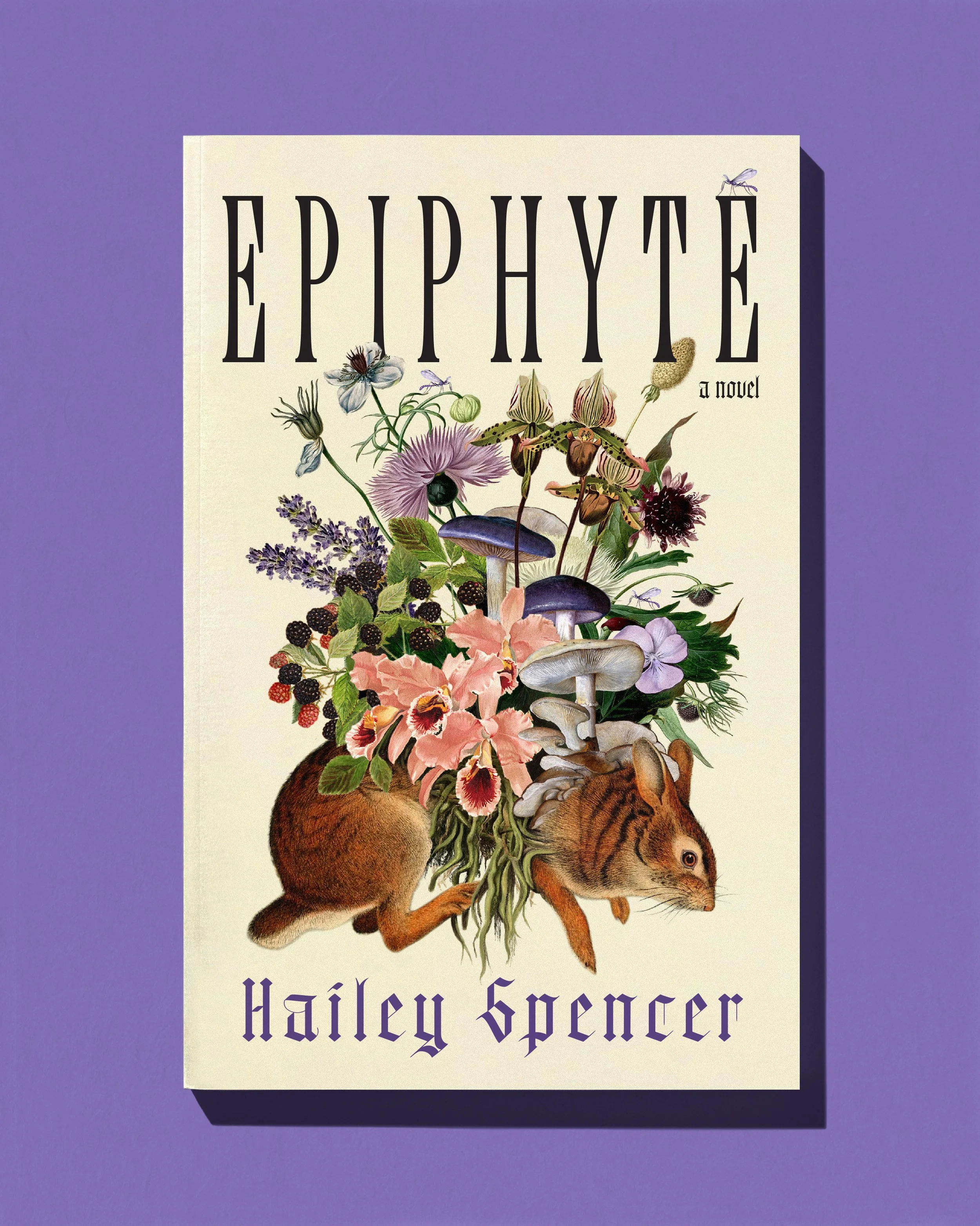 Epiphyte_insta8.jpg