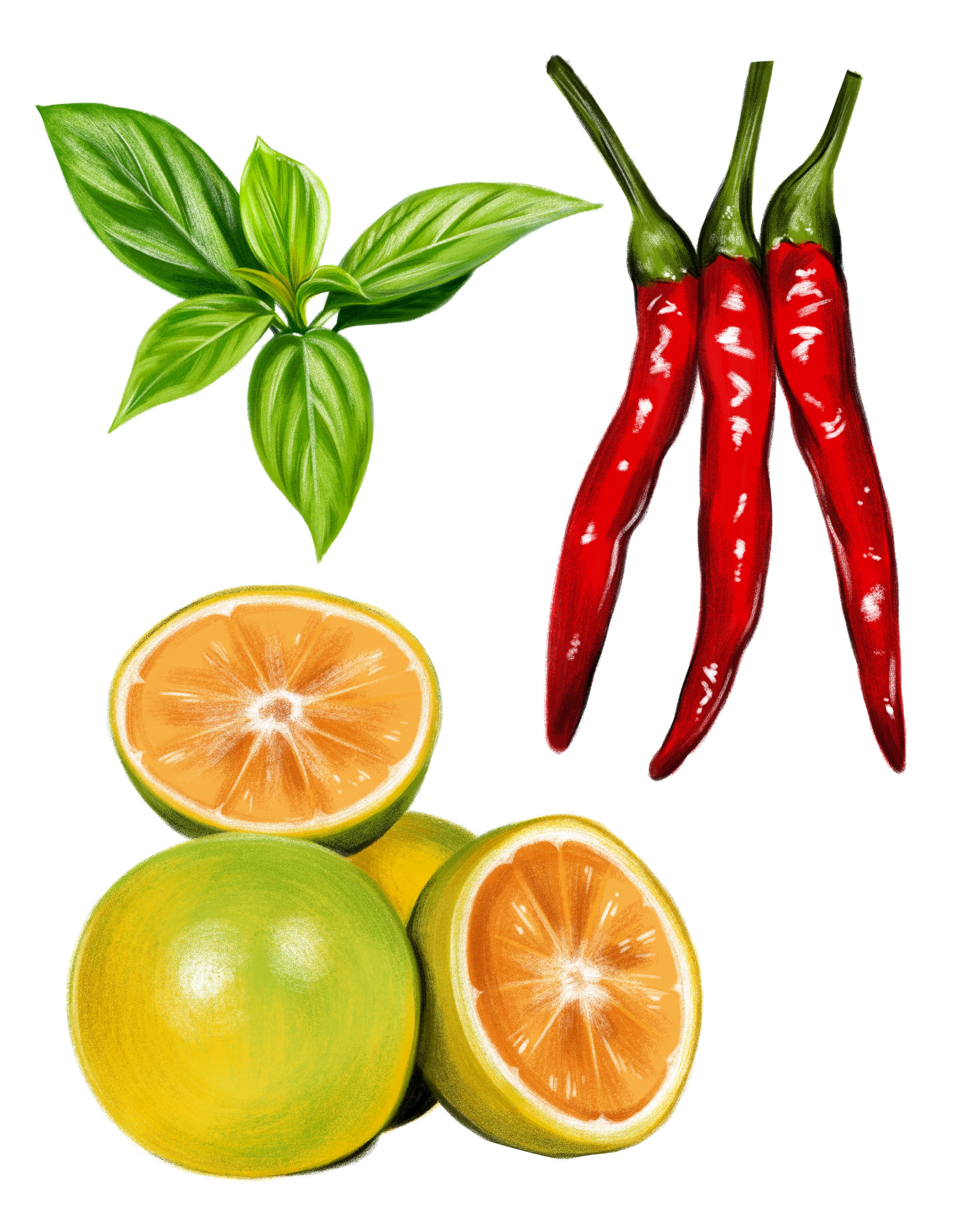 limes copy.png