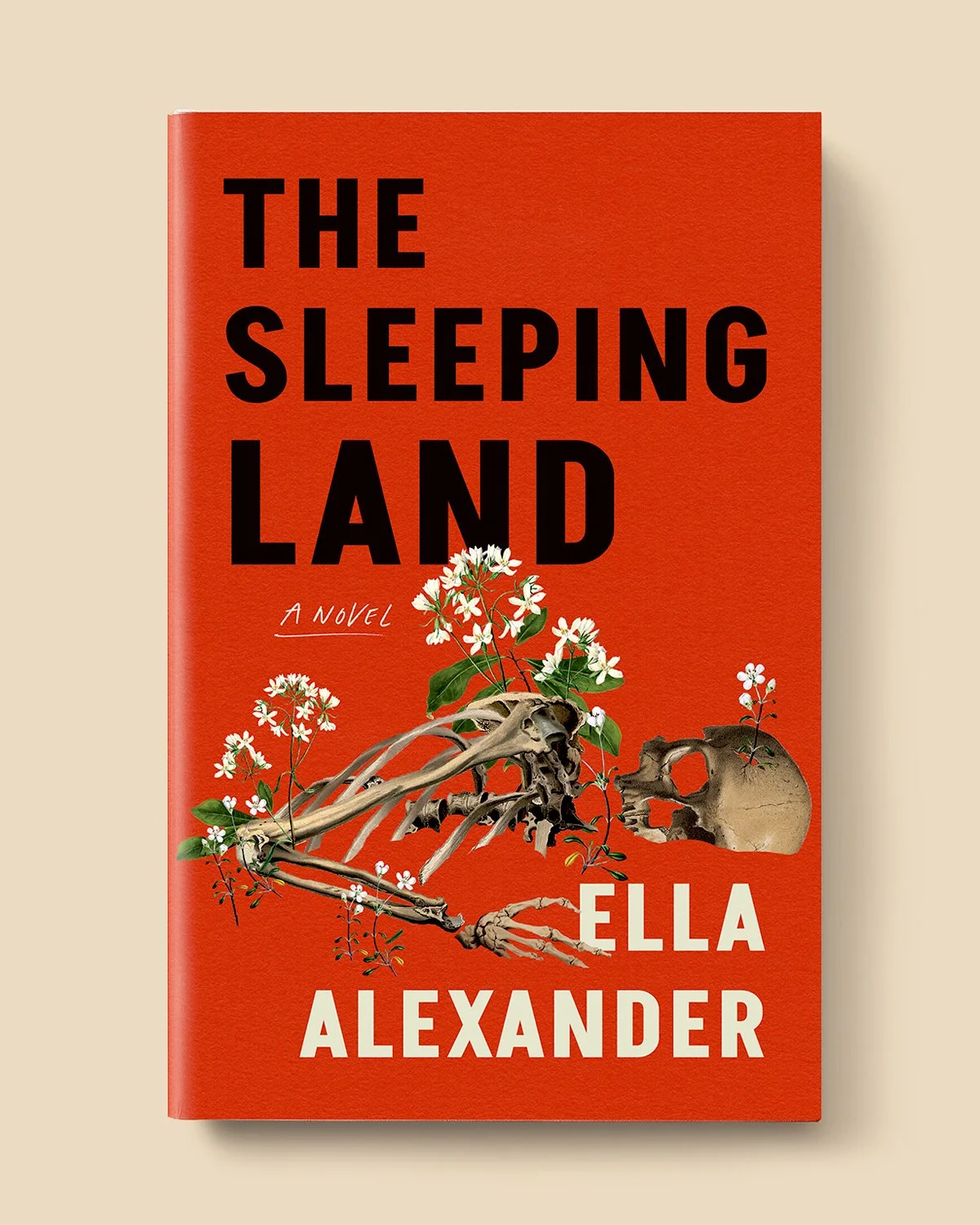 SleepingLand_insta2 copy.jpg