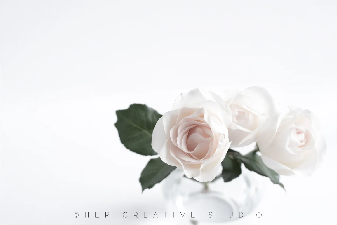 White-Roses-IE.jpg
