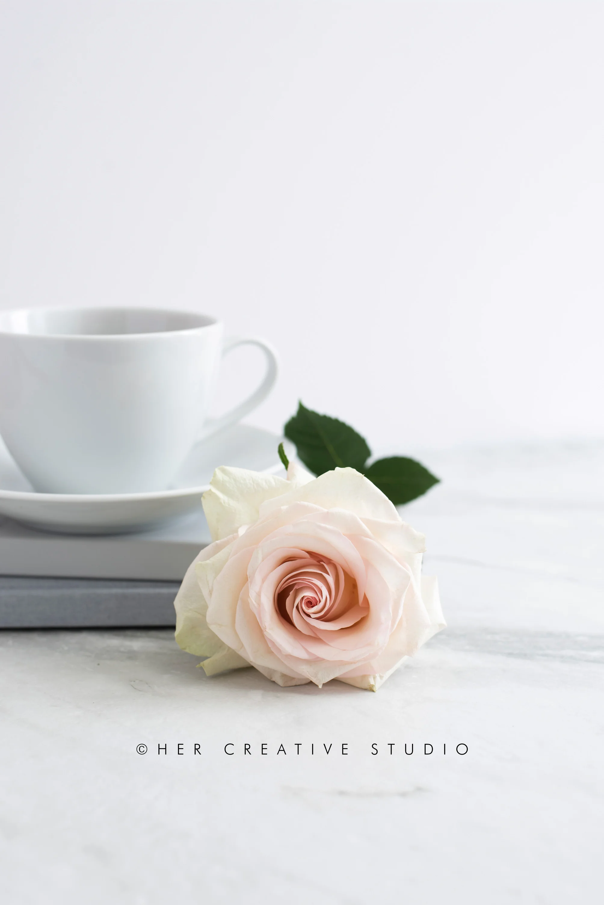 Tea-and-Roses-7b-IE.jpg