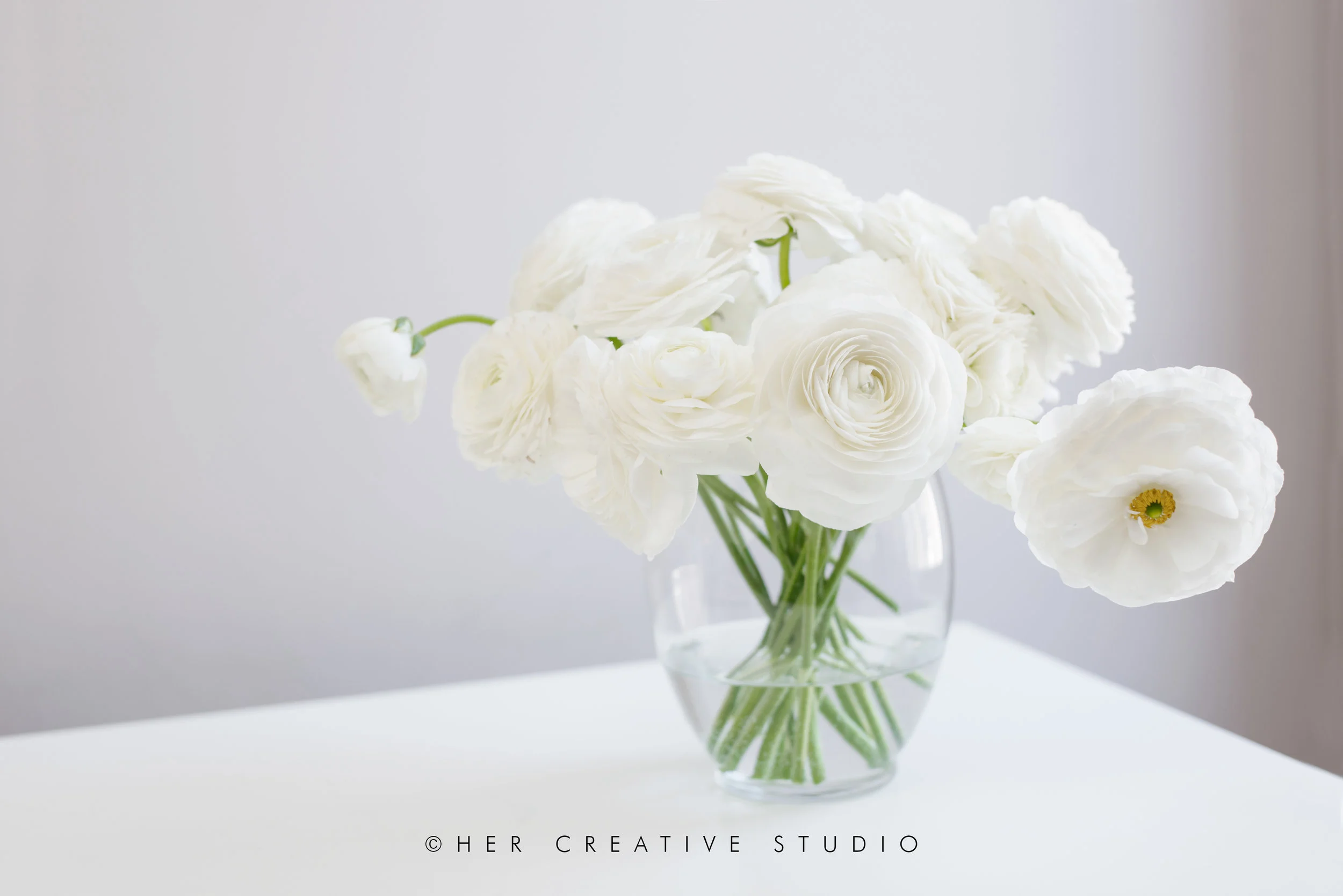 Ranunculus-Laptop-9-IE.jpg
