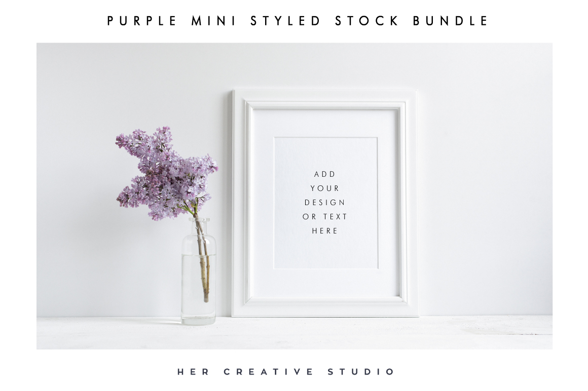 Mini-Purple-Bundle-C.jpg
