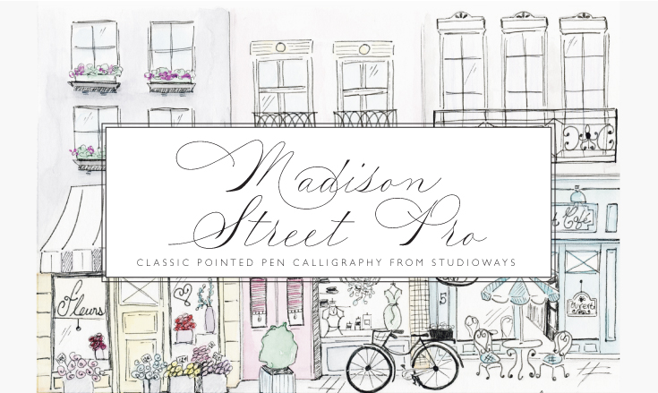 Madison-Street-Pro-A.jpg