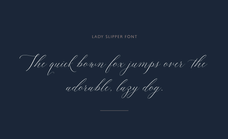 Lady-Slipper-D.jpg