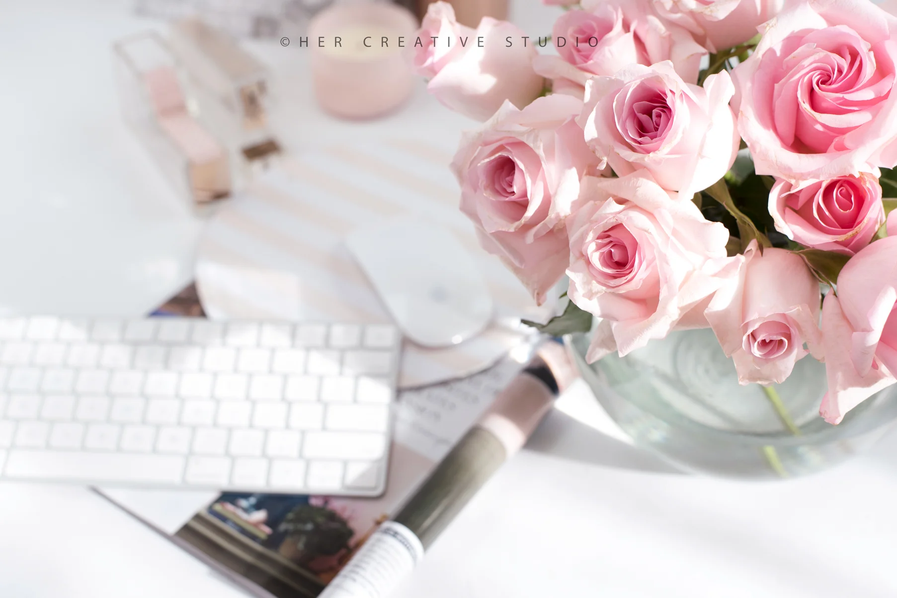 Roses-in-the-sunshine-IE.jpg