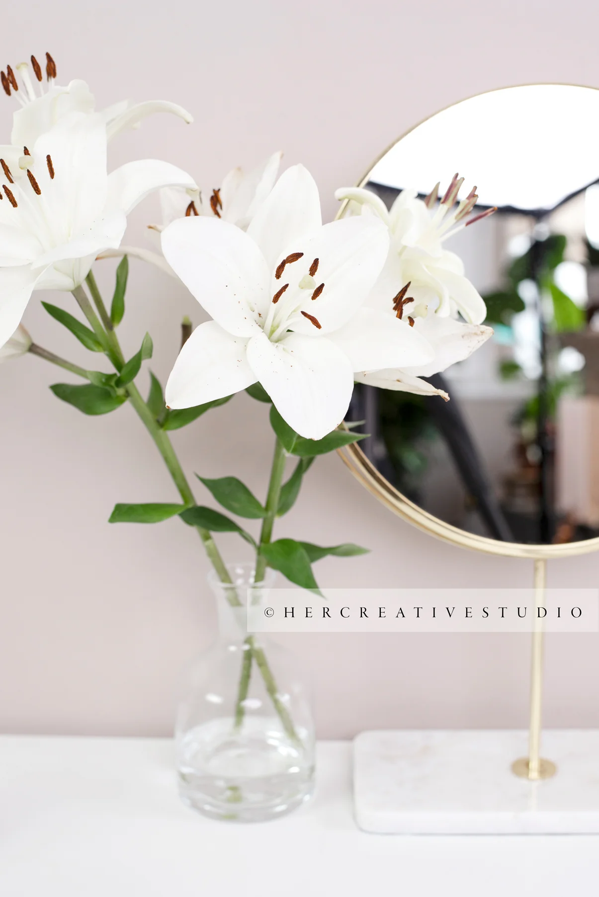 Styled Stock Photography by Her Creative Studio