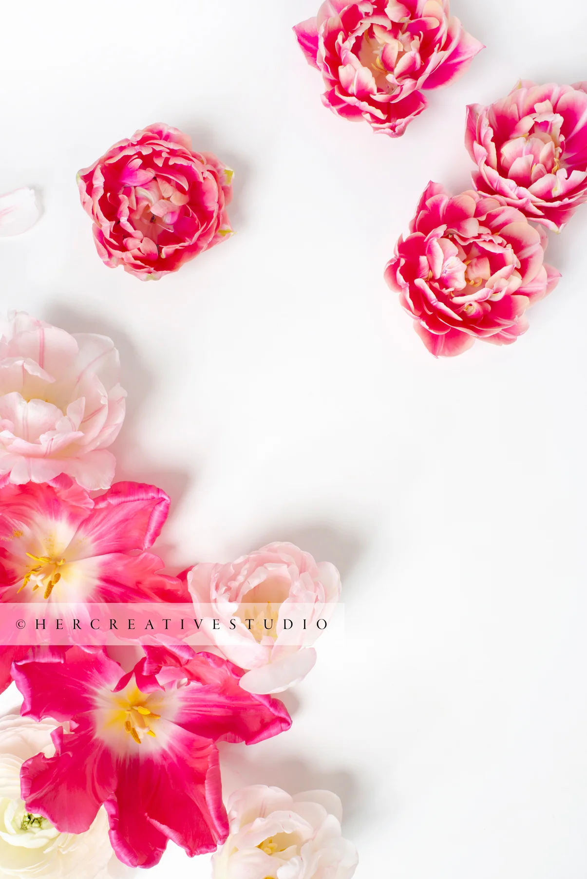 Bright-pink-Tulips-5-IE.jpg