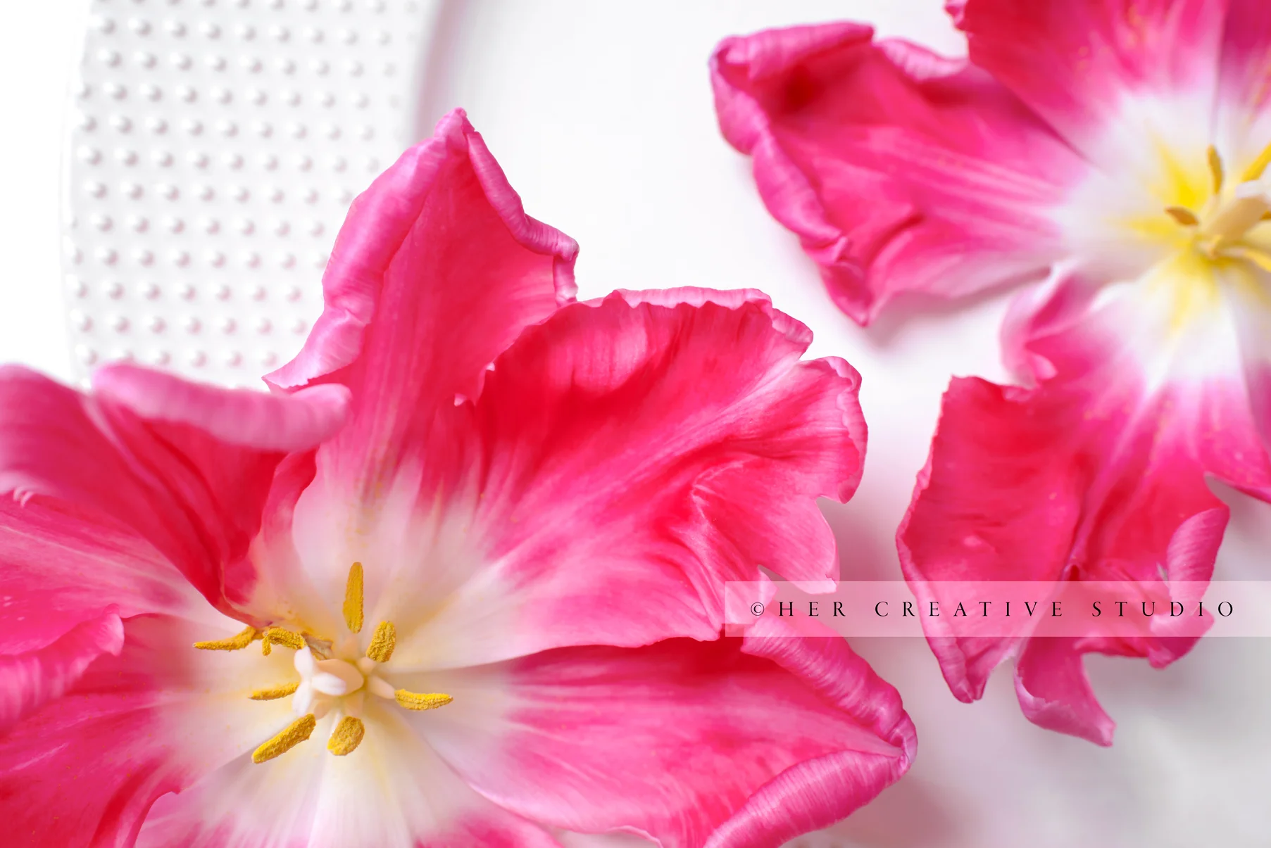 Bright-pink-Tulips-IE.jpg