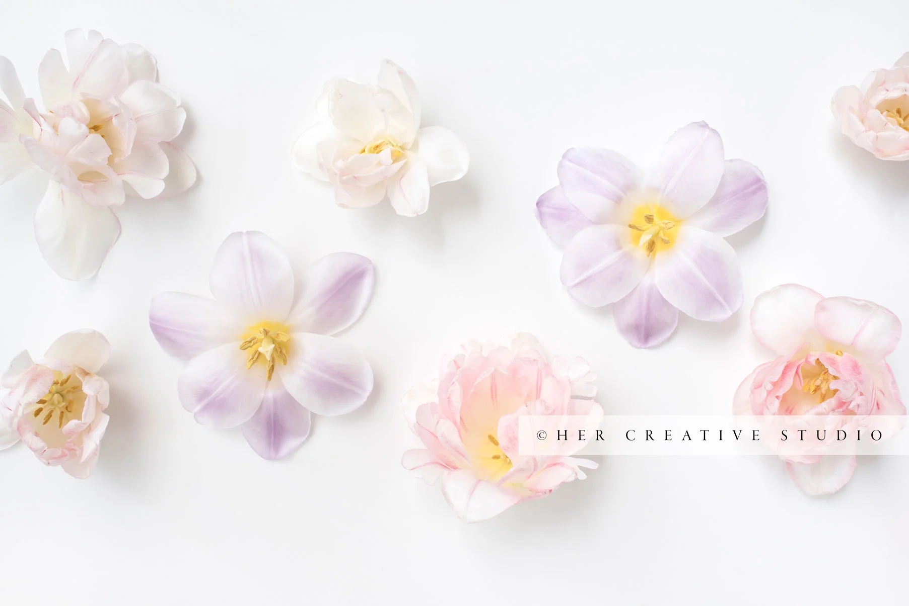 Spring-Flowers-IE.jpg