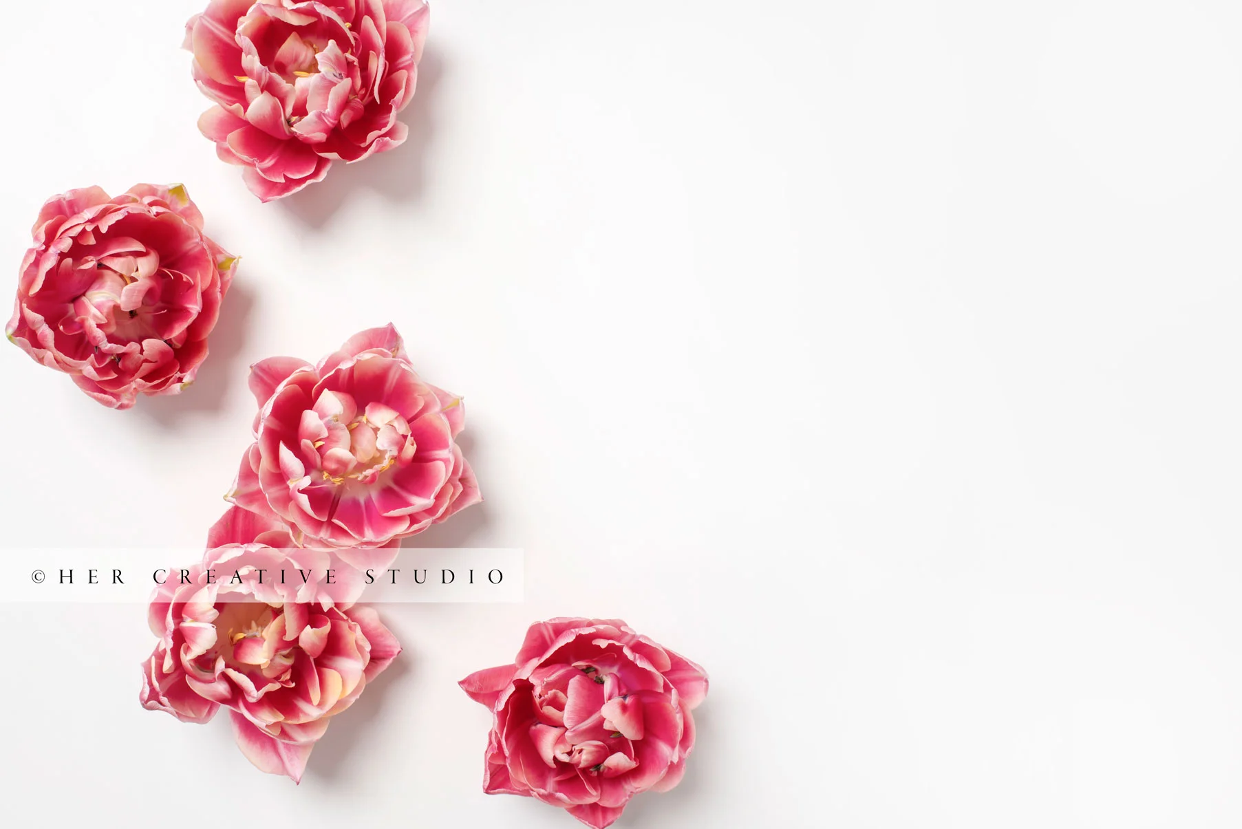 Tulips-Frilly-IE.jpg