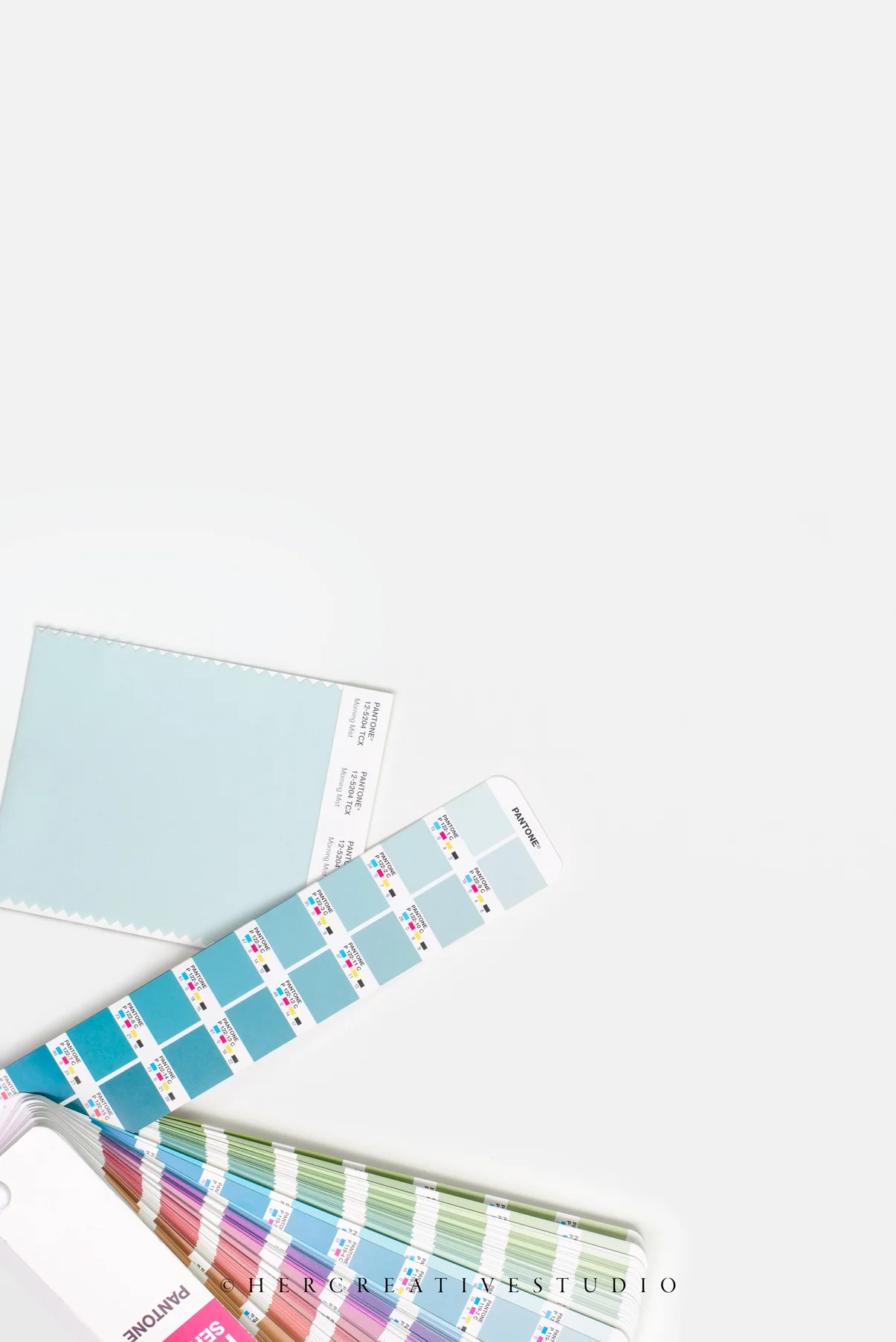 Pantone-book-swatch-IE.jpg