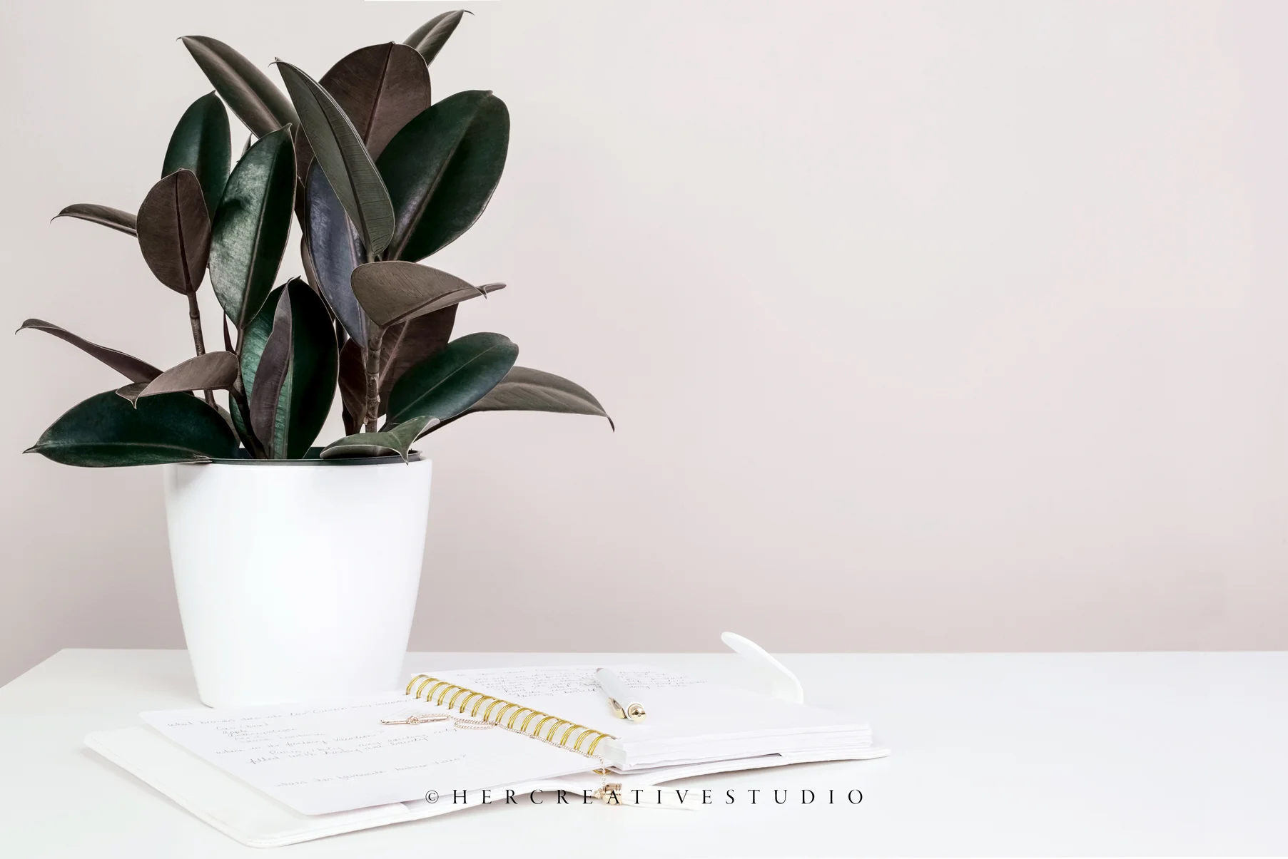 Rubber-plant-notebook-IE.jpg