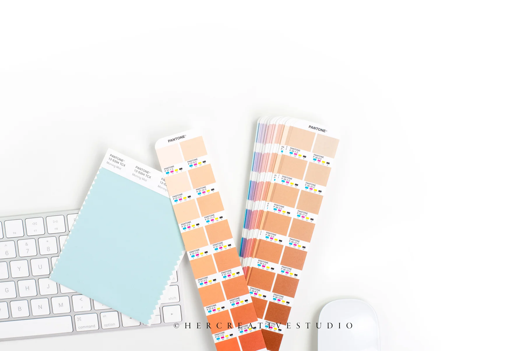 Swatches-keyboard-IE.jpg