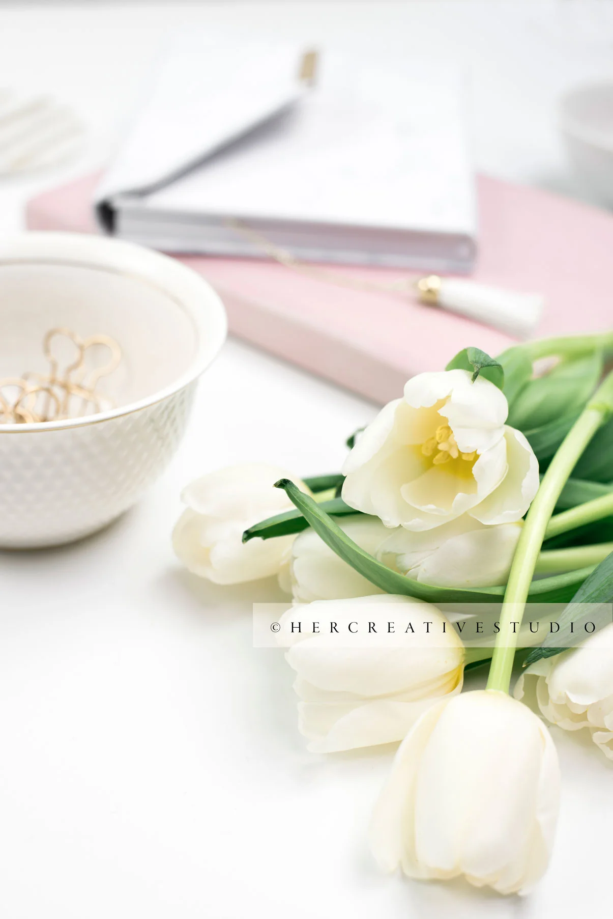 Styled Stock Photography by Her Creative Studio