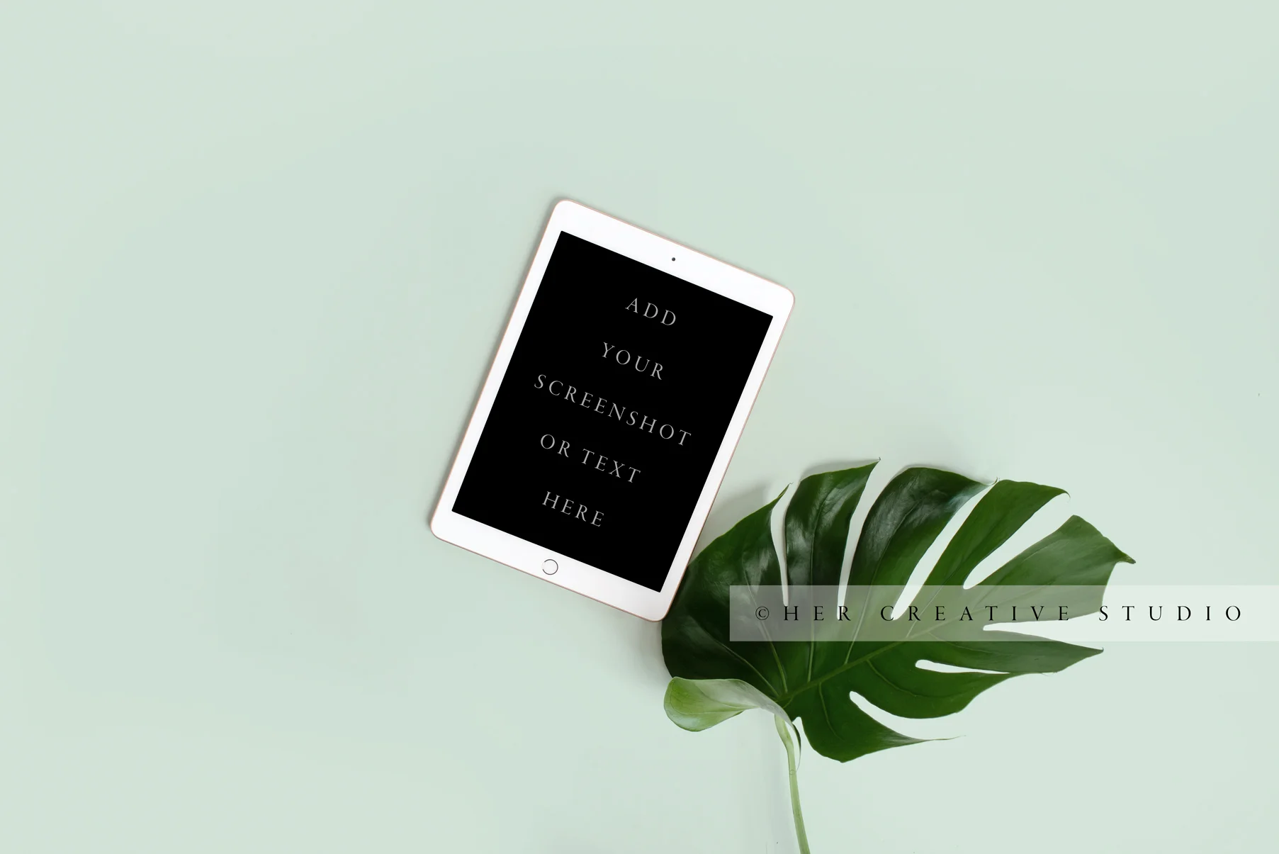 Montserra-Ipad-green-IE.jpg