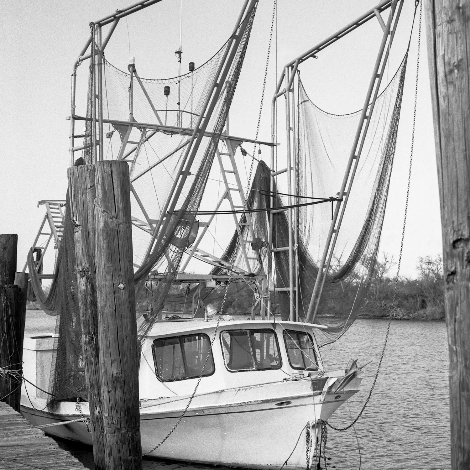 T scans891-2.jpg