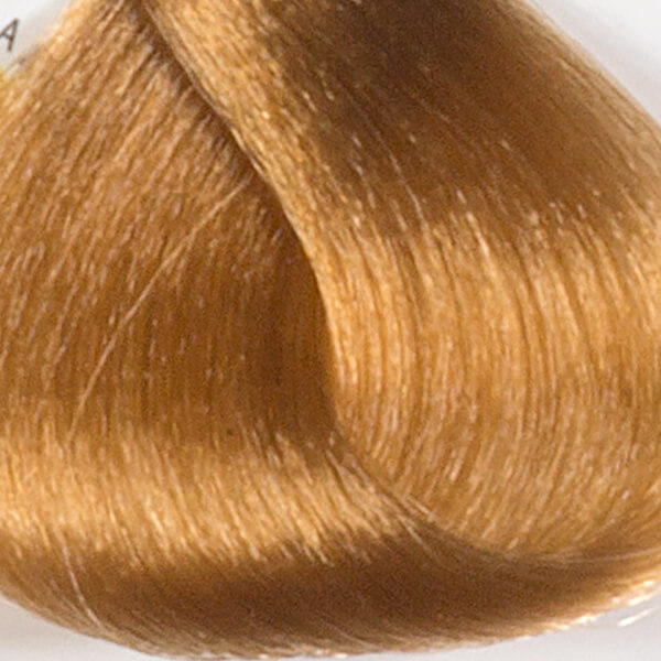 Very Light Golden Blond #9.3 — Chelly Cosmetics
