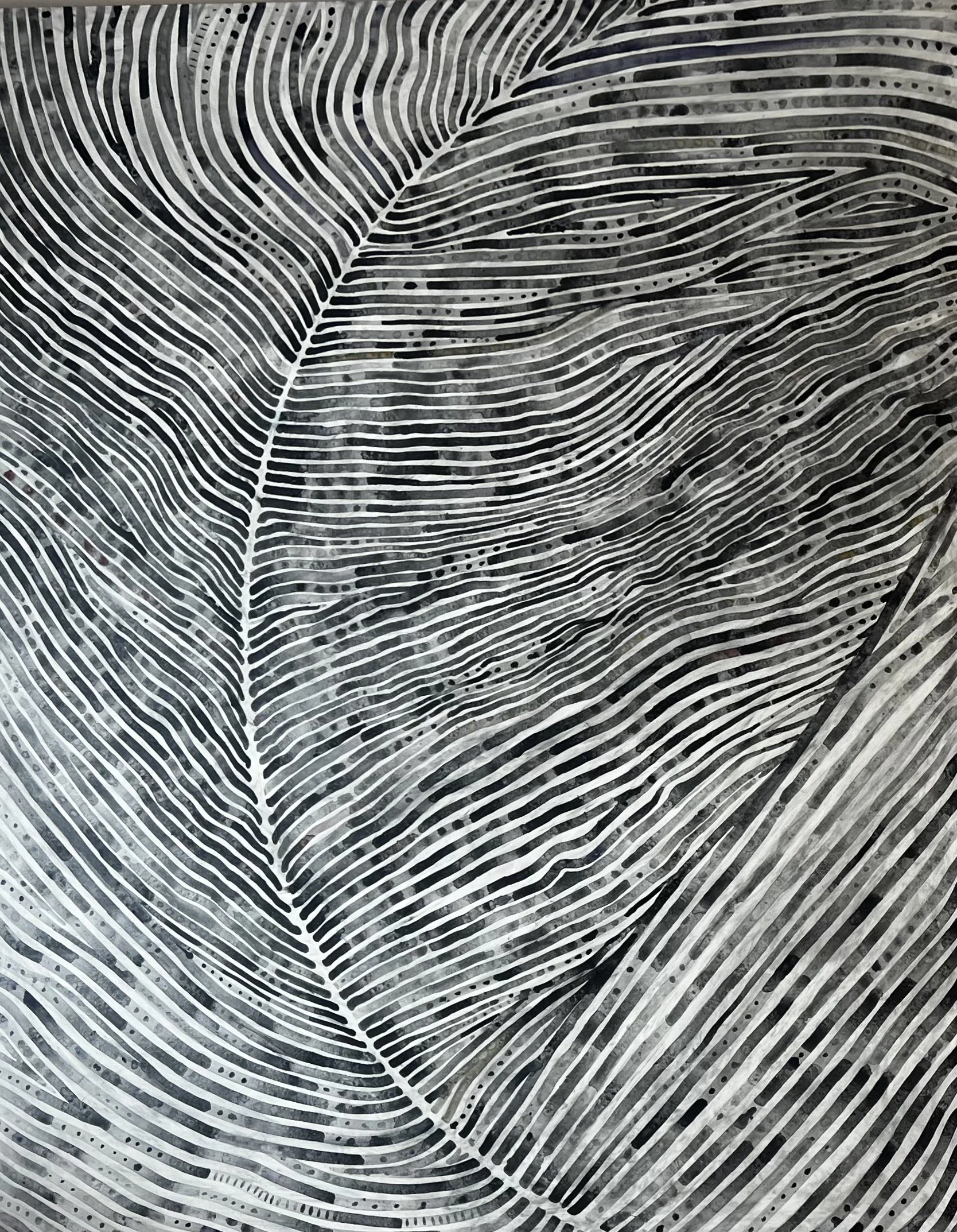 Campfire Ash from the Full Solar Eclipse KervilleLarge.jpg