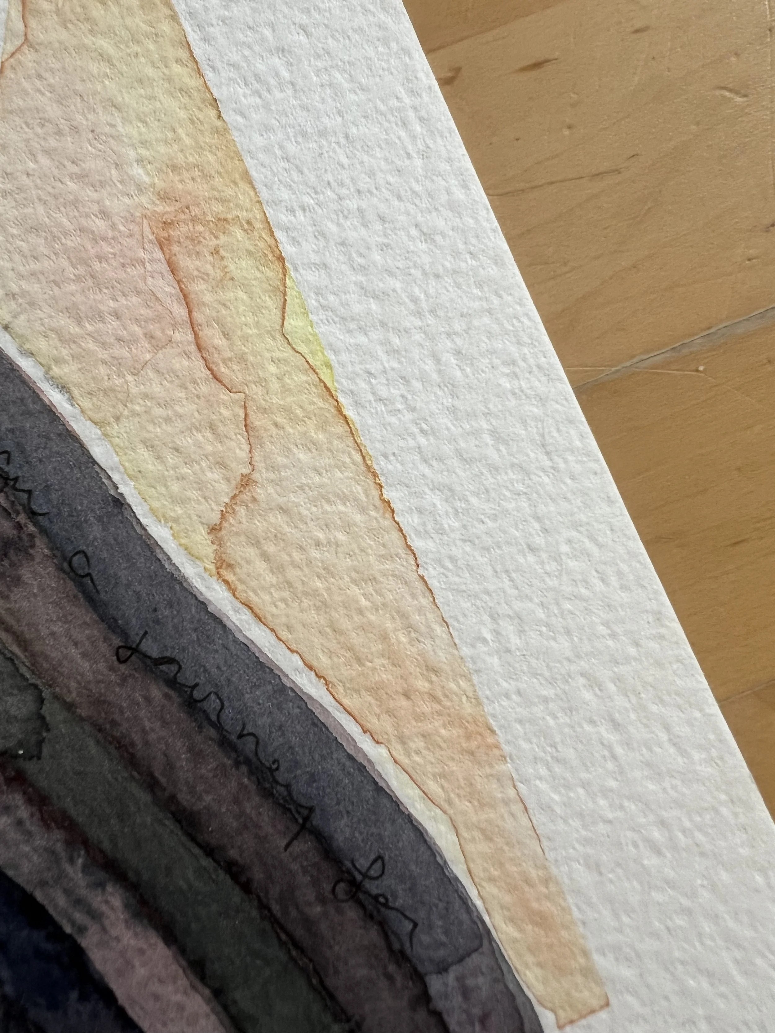 Study Hall - The Comfort of Trees - Detail.jpg