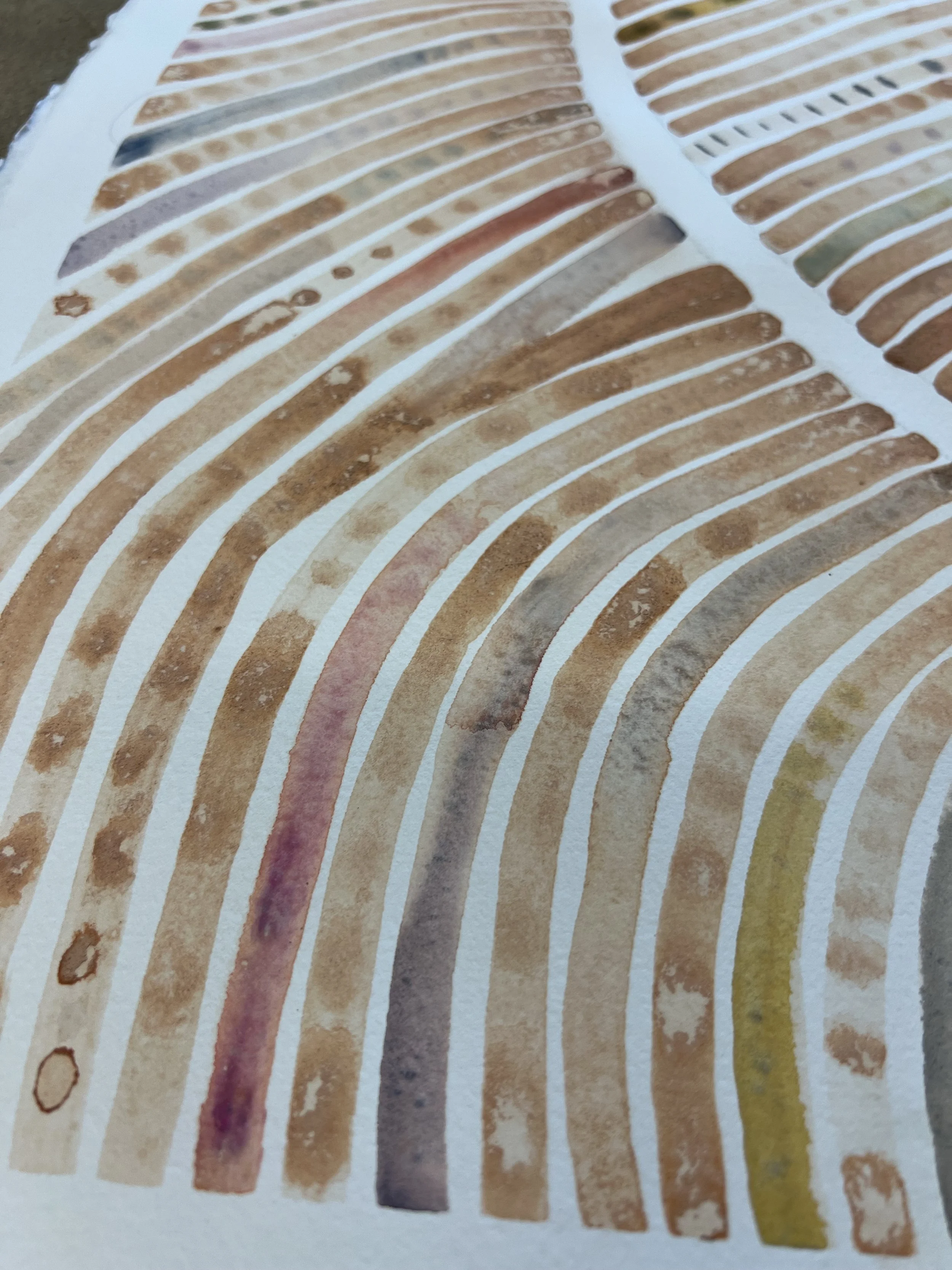 Walnut Creek Blush Detail on Paper.jpeg